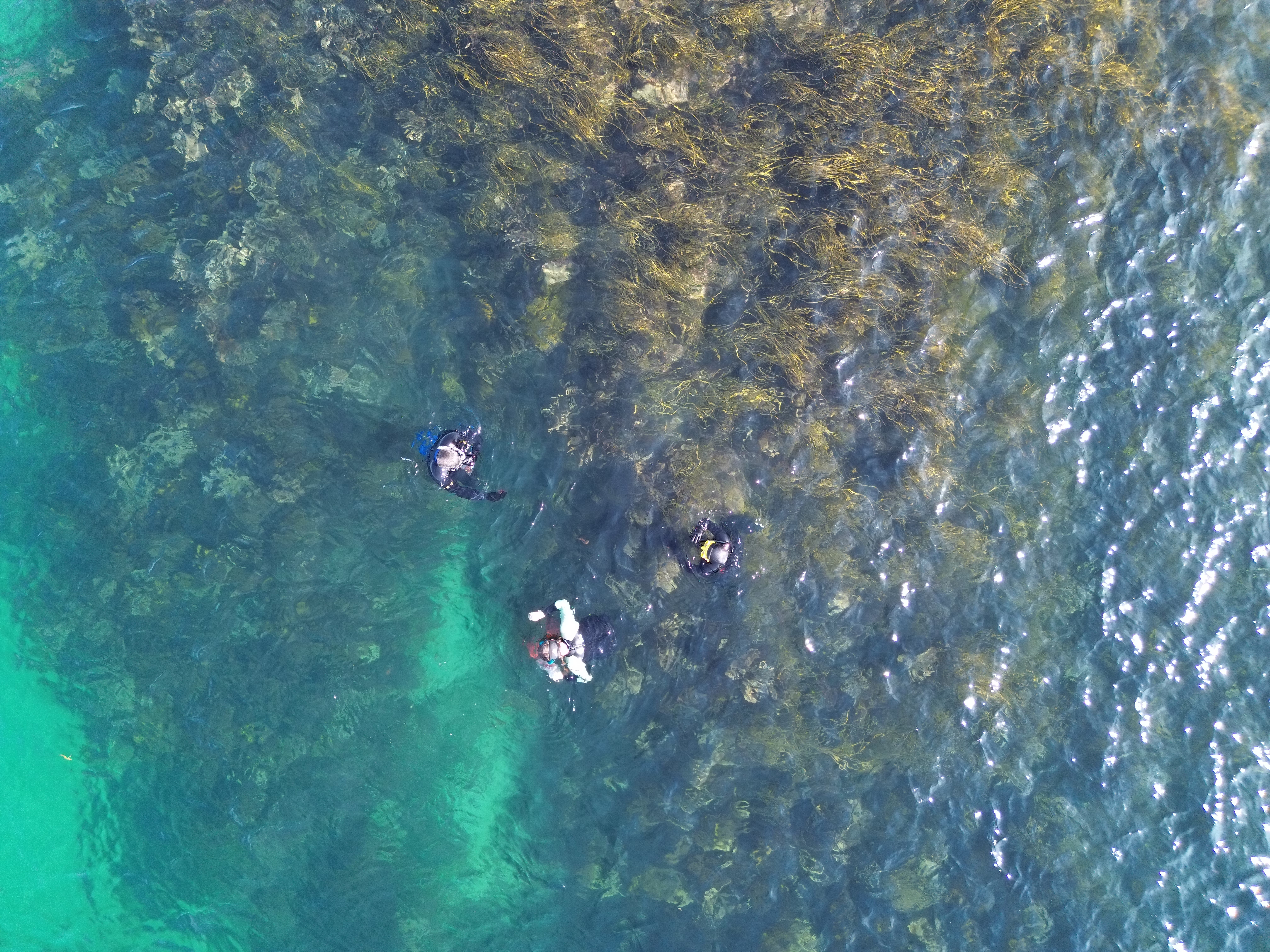 DJI_0046-1