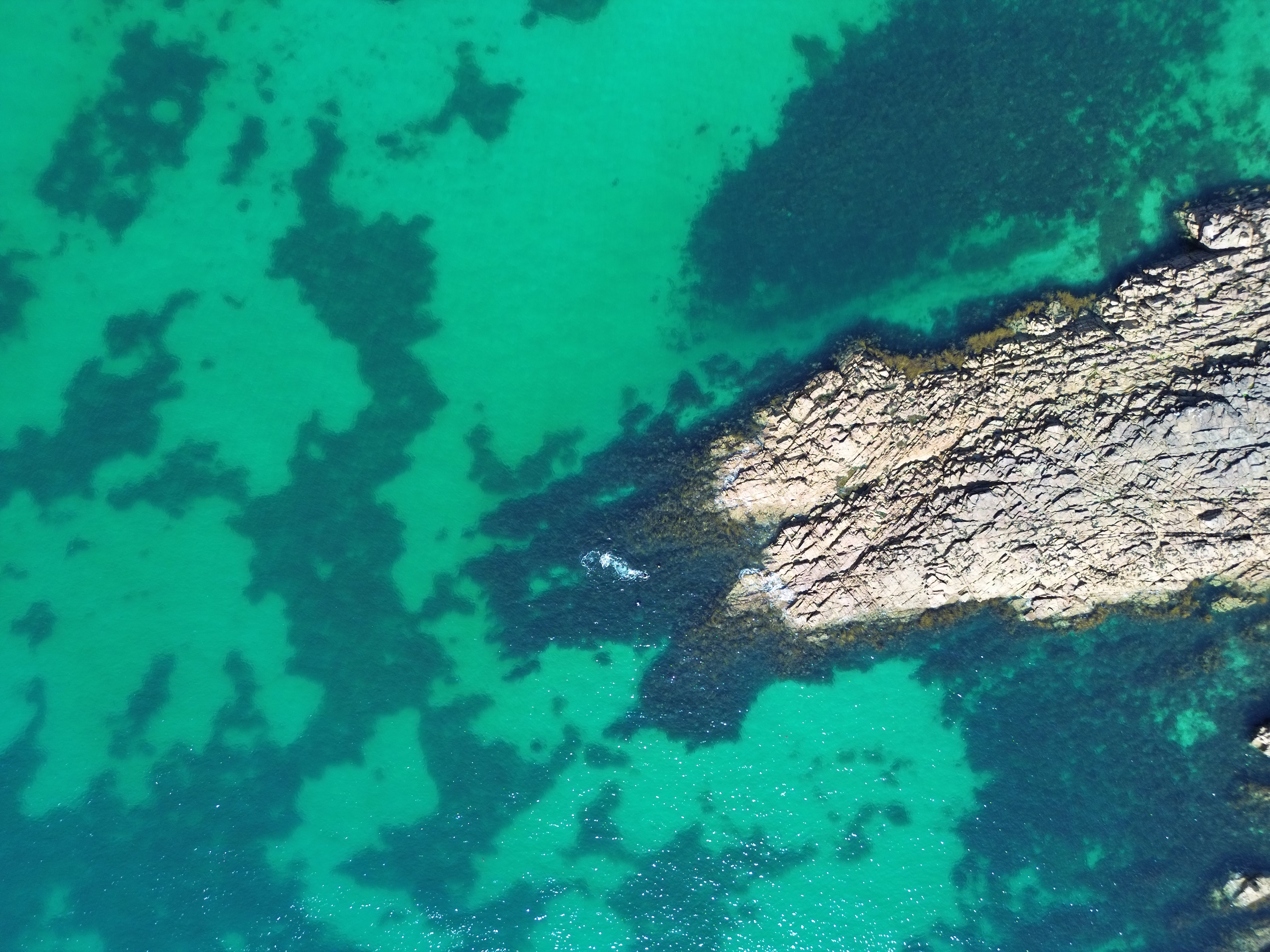 DJI_0048-1