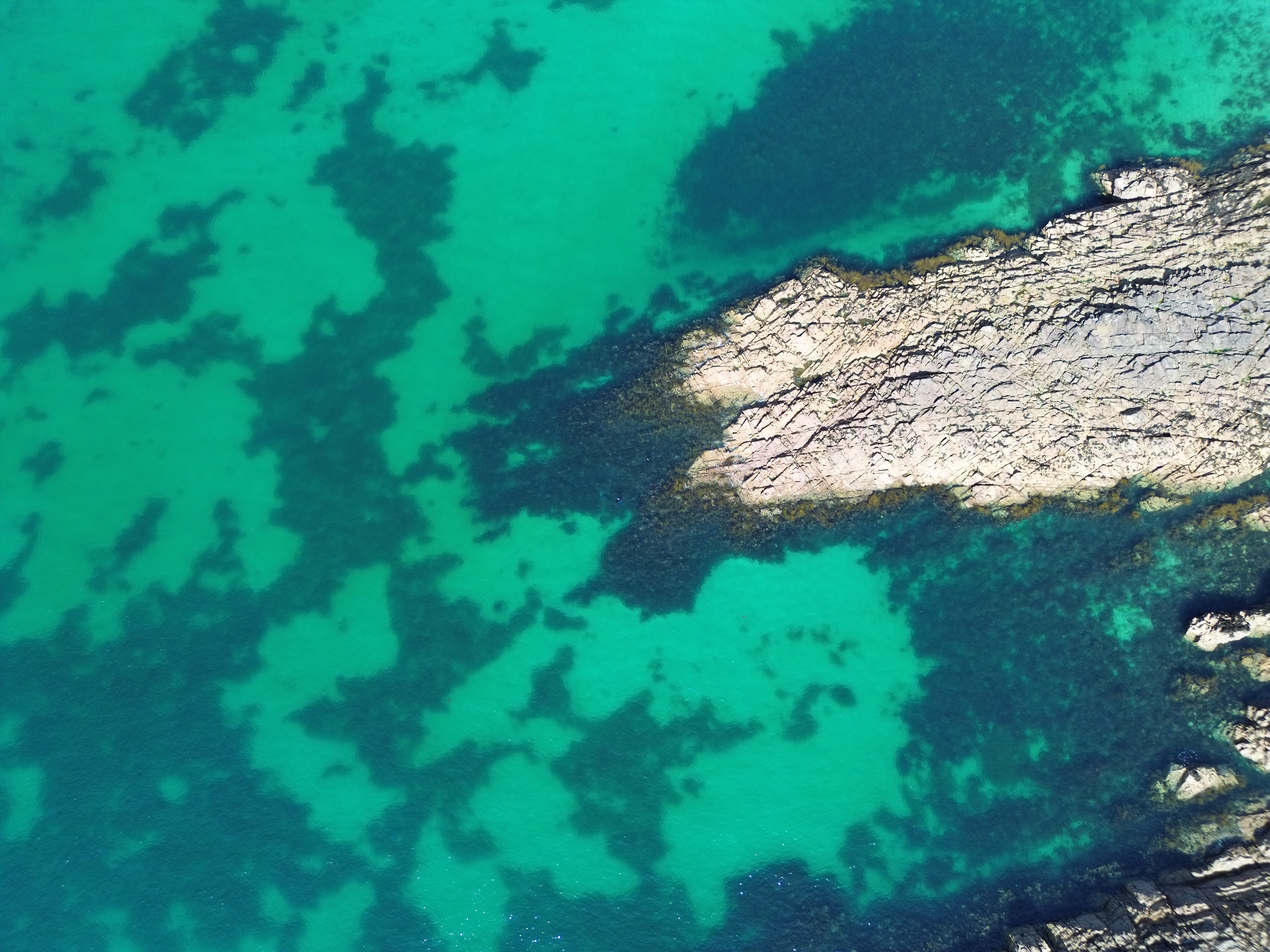 DJI_0049-1